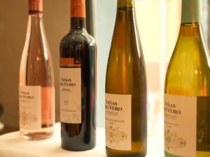 Selección de vinos de Viñas del Vero